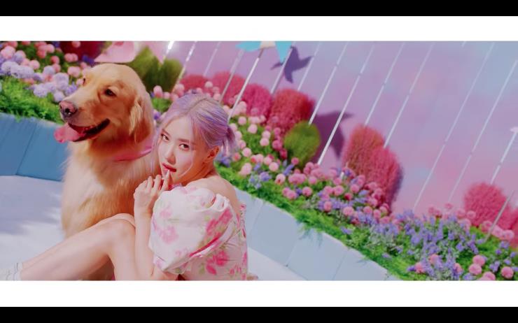 BLACKPINK - 'Ice Cream (with Selena Gomez)' M/V