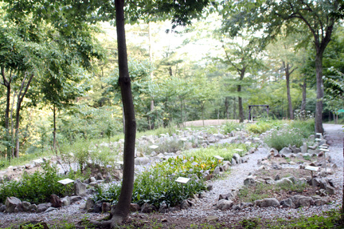 덕유산자연휴양림