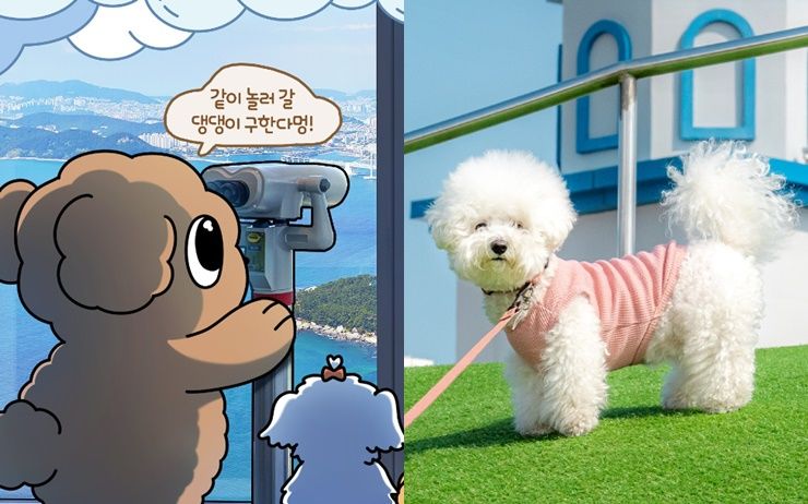 가볼만한곳