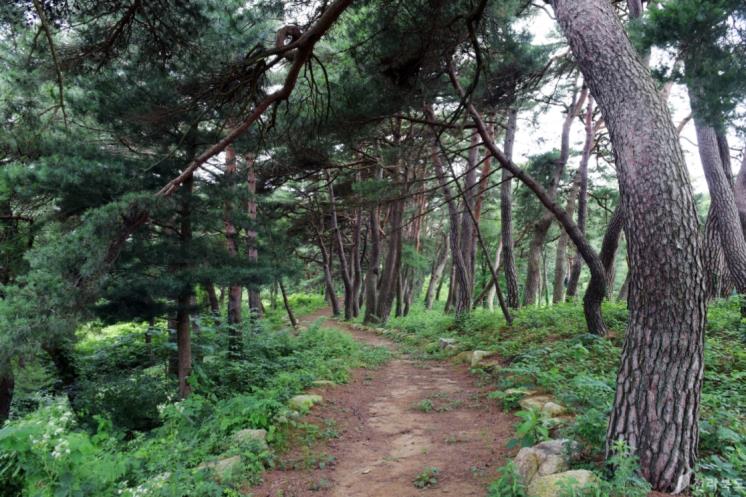 솔다박체험휴양마을