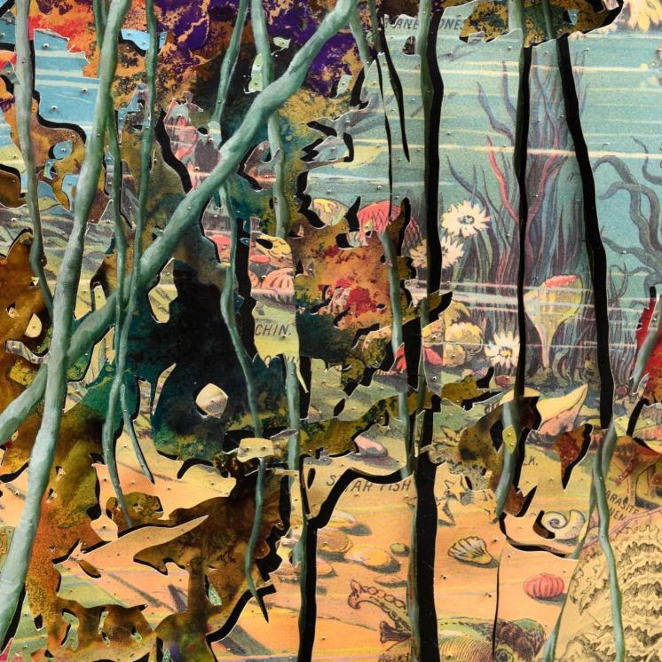 Anthropocene 2