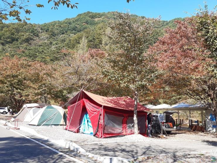 벽계야영장