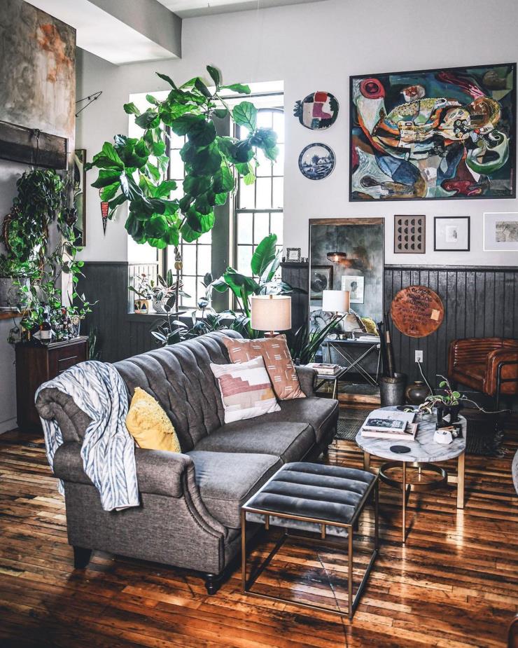 플랜트플루언서 힐튼 카터의 집. 인스타그램 @hiltoncarter