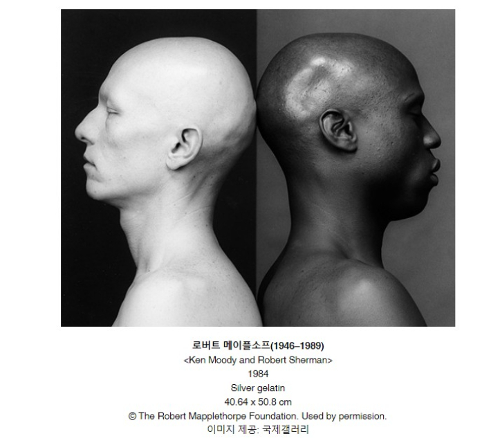 사진 제공 국제갤러리