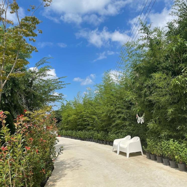 오늘여기 인스타그램