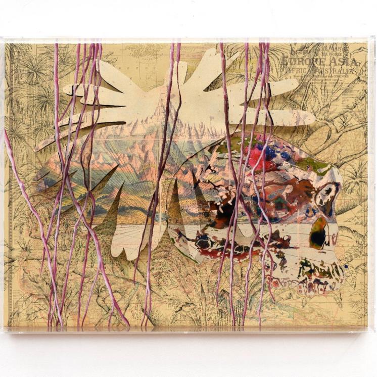 Anthropocene 21