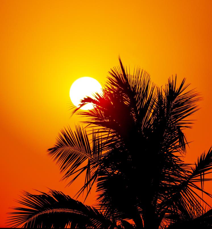 Unsplash