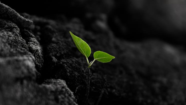 Unsplash