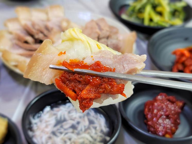 고성군 블로그