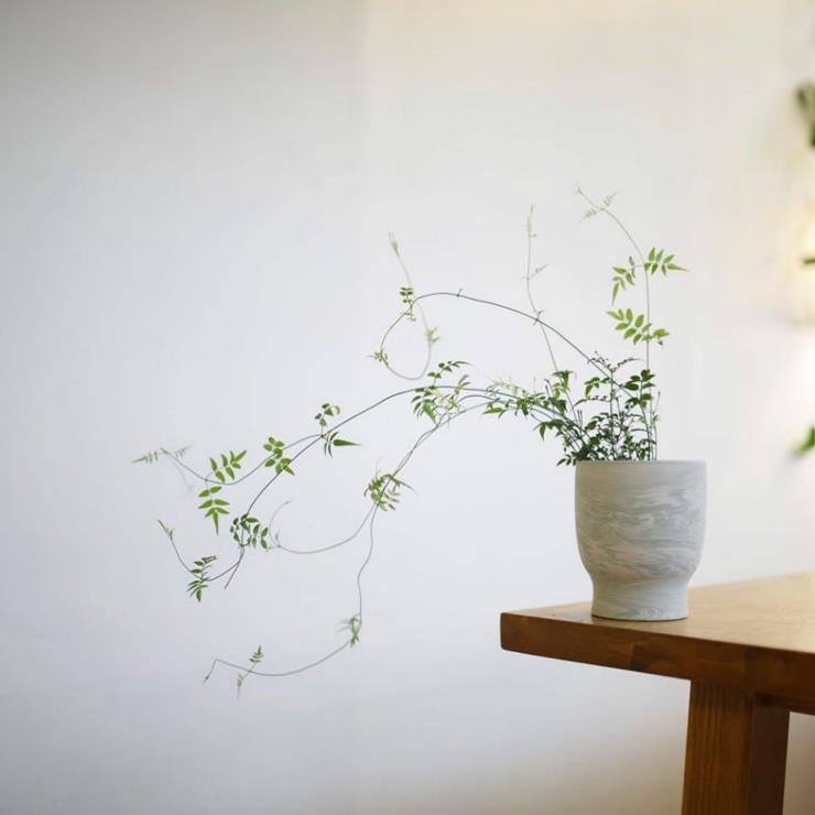 선이 고운 스프라우트. 인스타그램 @sprout______