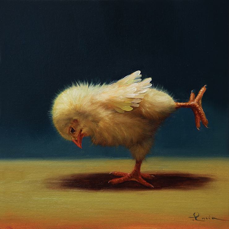 Yoga Chick Series.