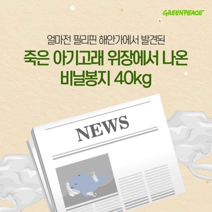 @greenpeacekorea