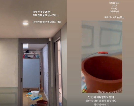 이윤진
