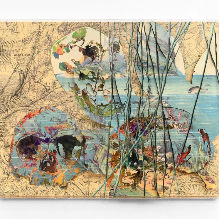 Anthropocene 2