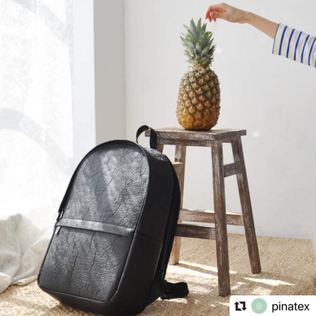 피나텍스 인스타그램