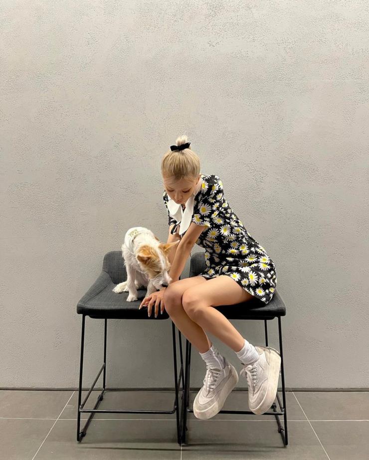 @roses_are_rosie
