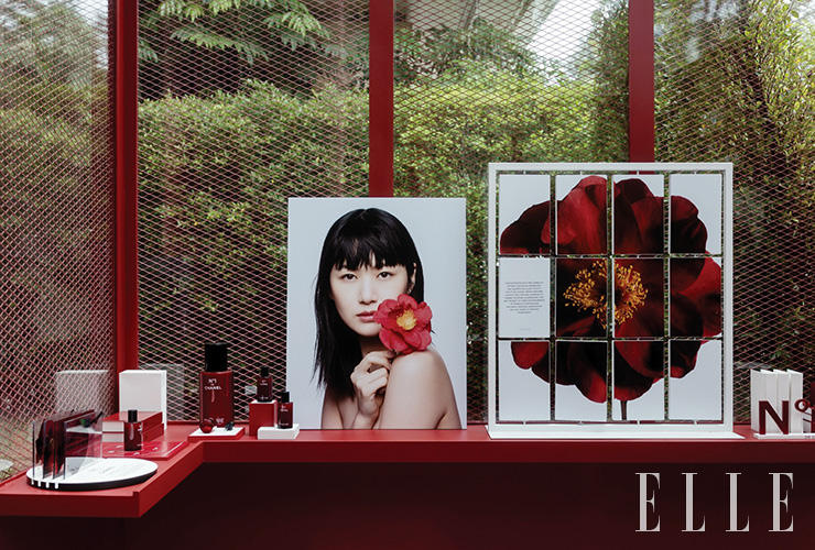 세 가지 사이즈의 N°1 DE CHANEL 레드 까멜리아 세럼과 캠페인 이미지.