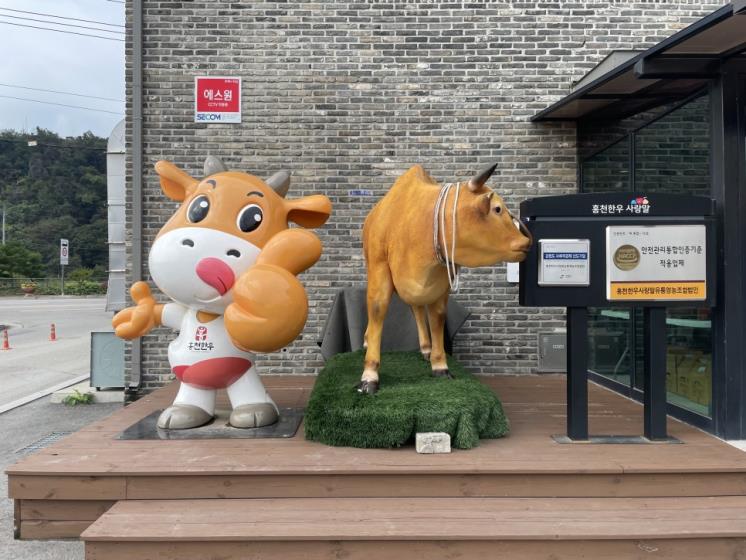 홍천 사랑말 한우식당