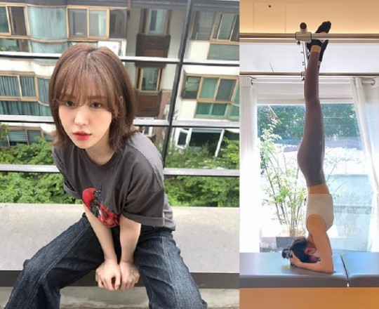 레드벨벳 운동 