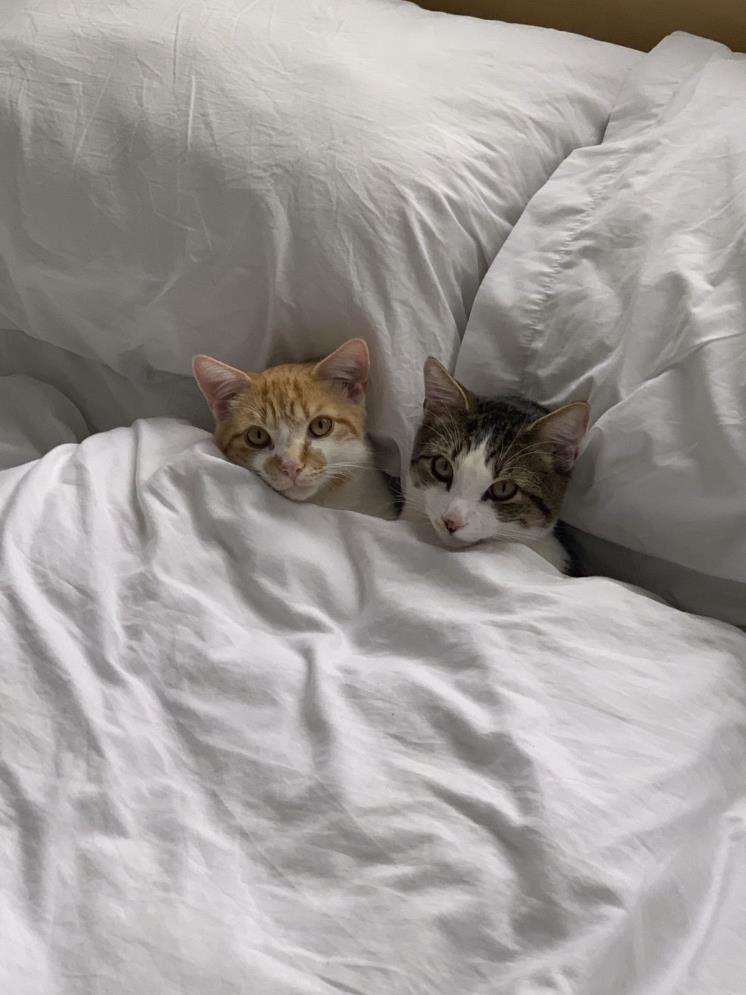 PHOTO CREDIT: Dante & Wolfgang