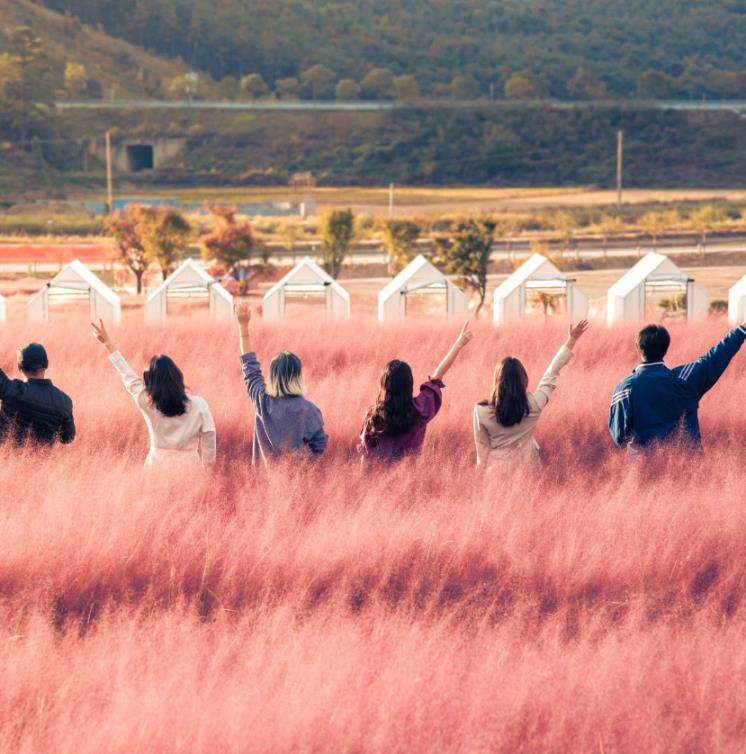 고창 꽃객프로젝트 