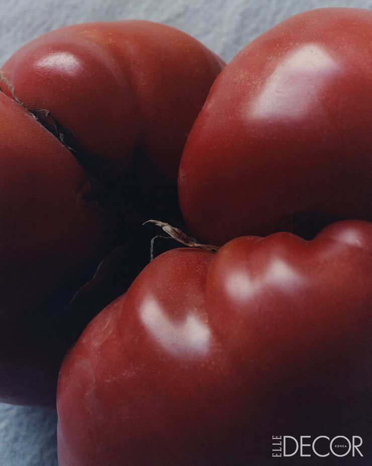 비프스테이크 토마토(Beefsteak Tomato).
