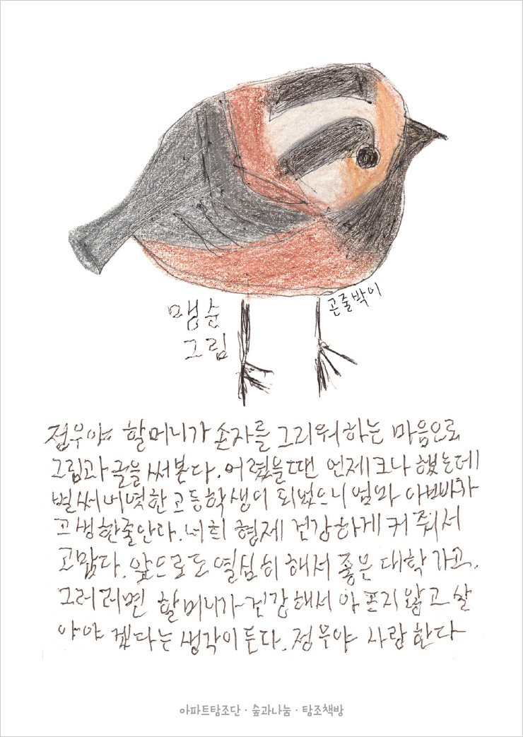 2020년 1월에 처음으로 그려본 곤줄박이와 손자에게 보낸 편지 글.
