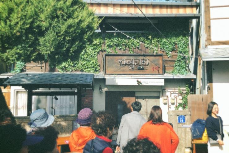 마지막 회에 창문이 생긴 까멜리아