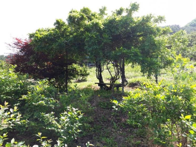 향초목원