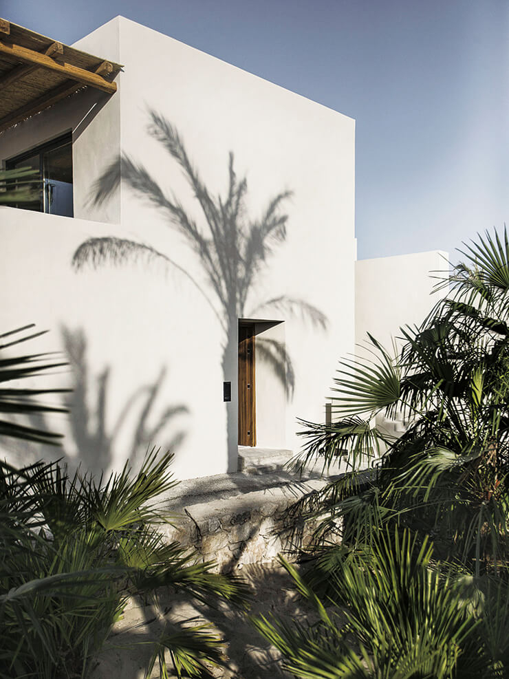 그리스의 뜨거운 태양 아래, 야자수조차 여유롭게 흔들린다