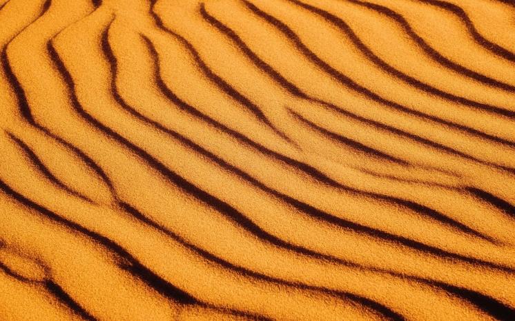 ⓒUnsplash