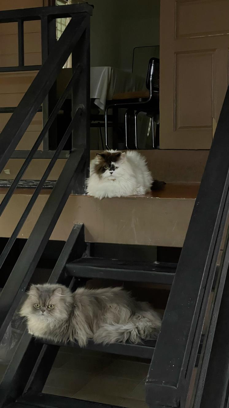 집 안의 계단.