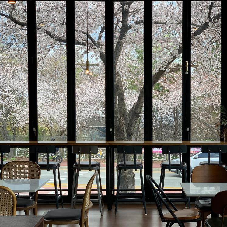 @cafeyard____
