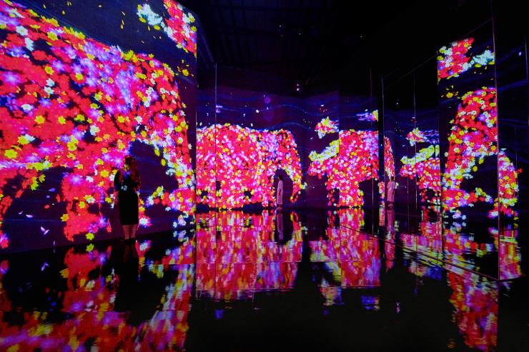 teamLab, <꽃과 함께 살아가는 동물들 II> © teamLab