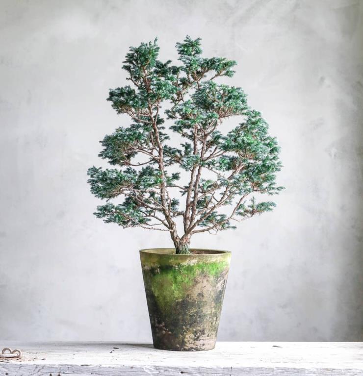 두갸르송. 인스타그램 @poteriedeuxgarcons