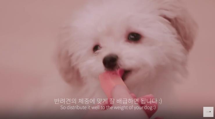 @sarangkim.love