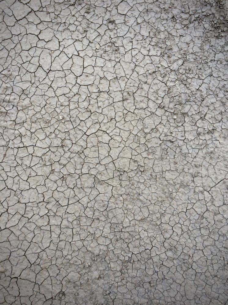 Unsplash