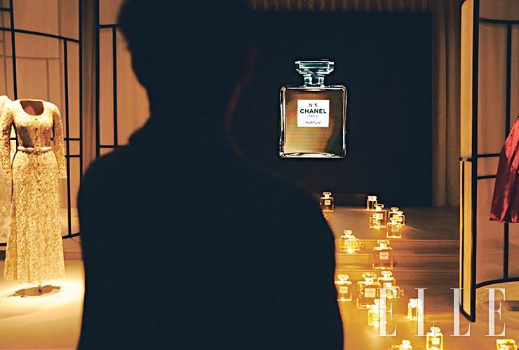 No5의 역대 캠페인 필름을 감상하는 박서준.