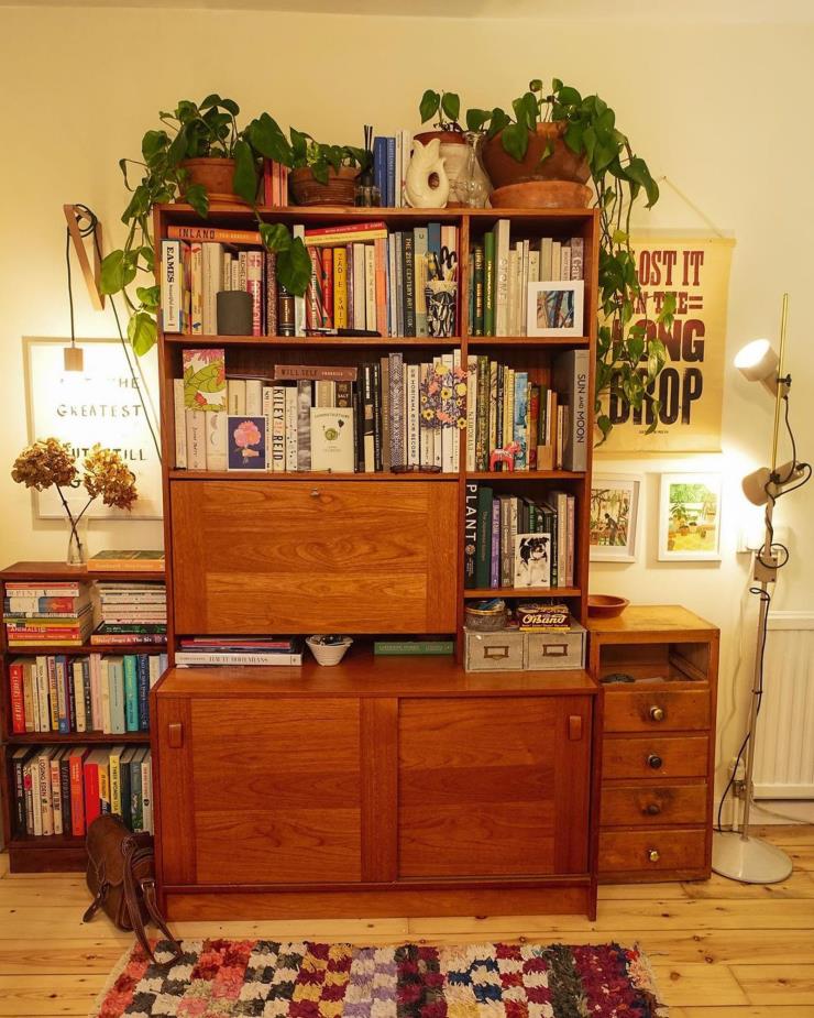 플랜트플루언서 앨리스 빈센트의 책장. 인스타그램 @noughticulture