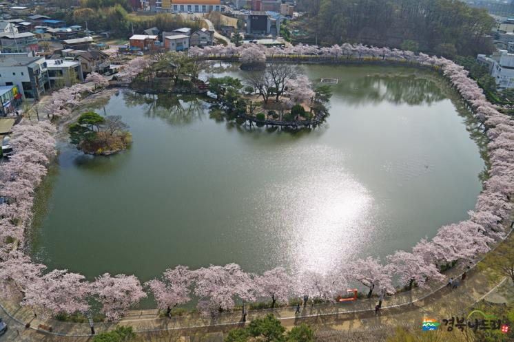 연화지