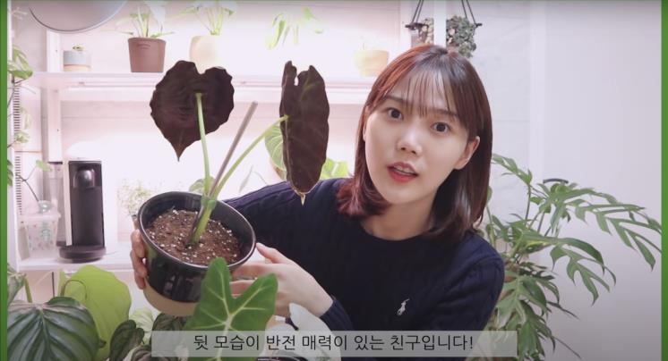 ‘쩡이언니’ 유튜브 영상 캡처