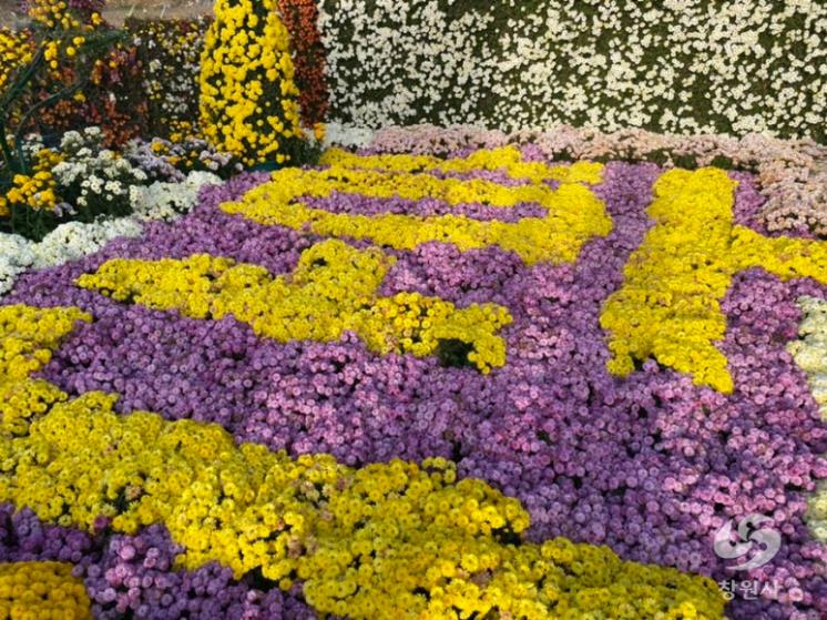 마산국화축제 지난 행사 사진 