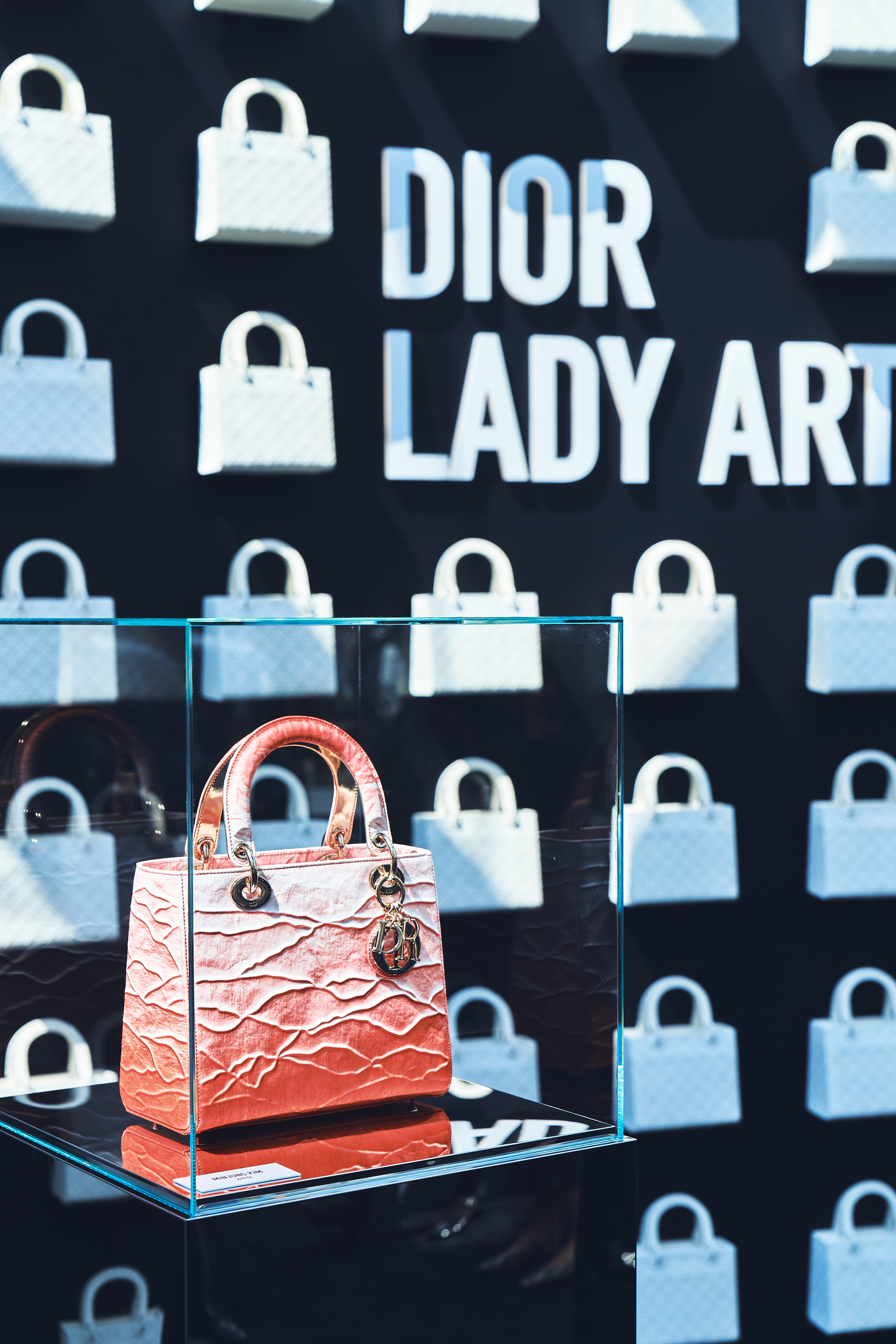 LADY DIOR CELEBRATION