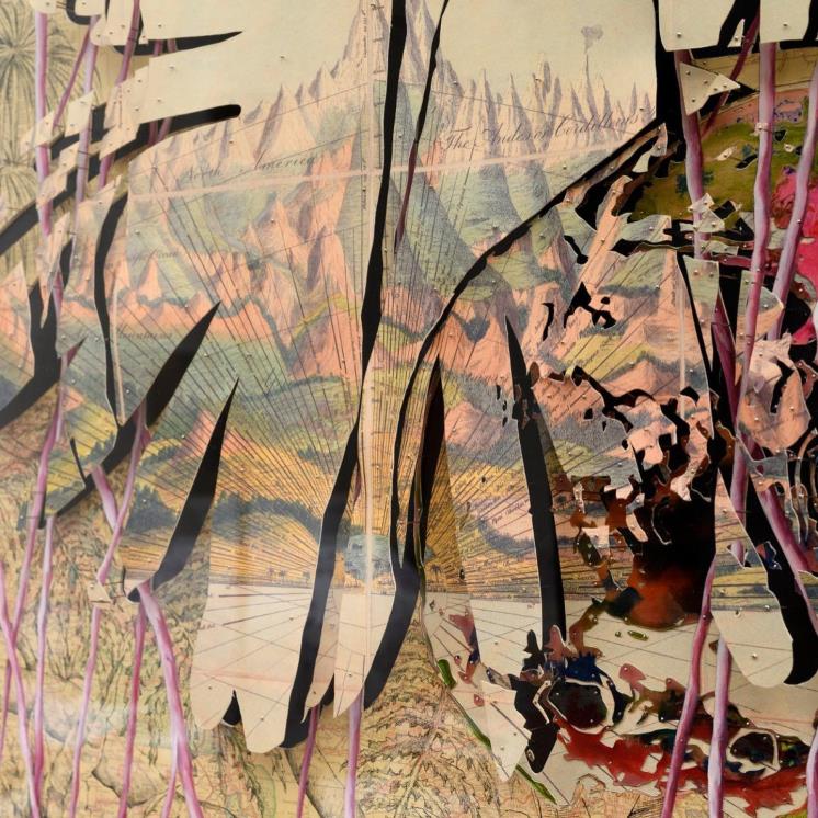 Anthropocene 21