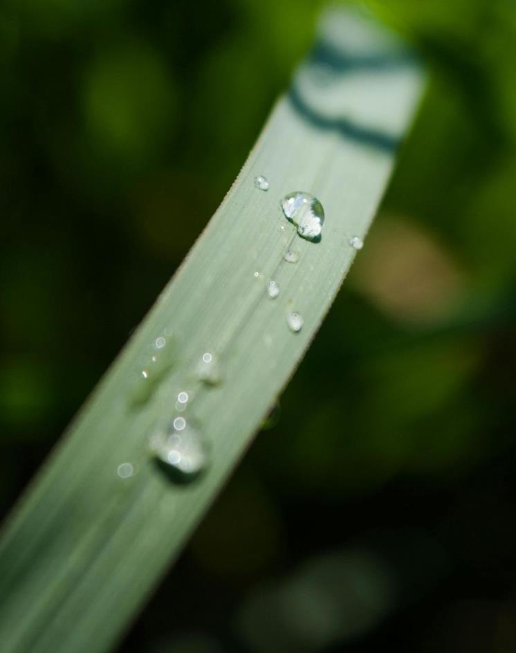 Unsplash