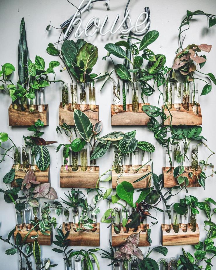 벽에 걸 수 있게 디자인한 수경재배 크래들. 인스타그램 @hiltoncarter
