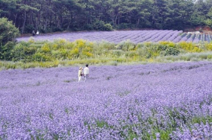 고창 청농원