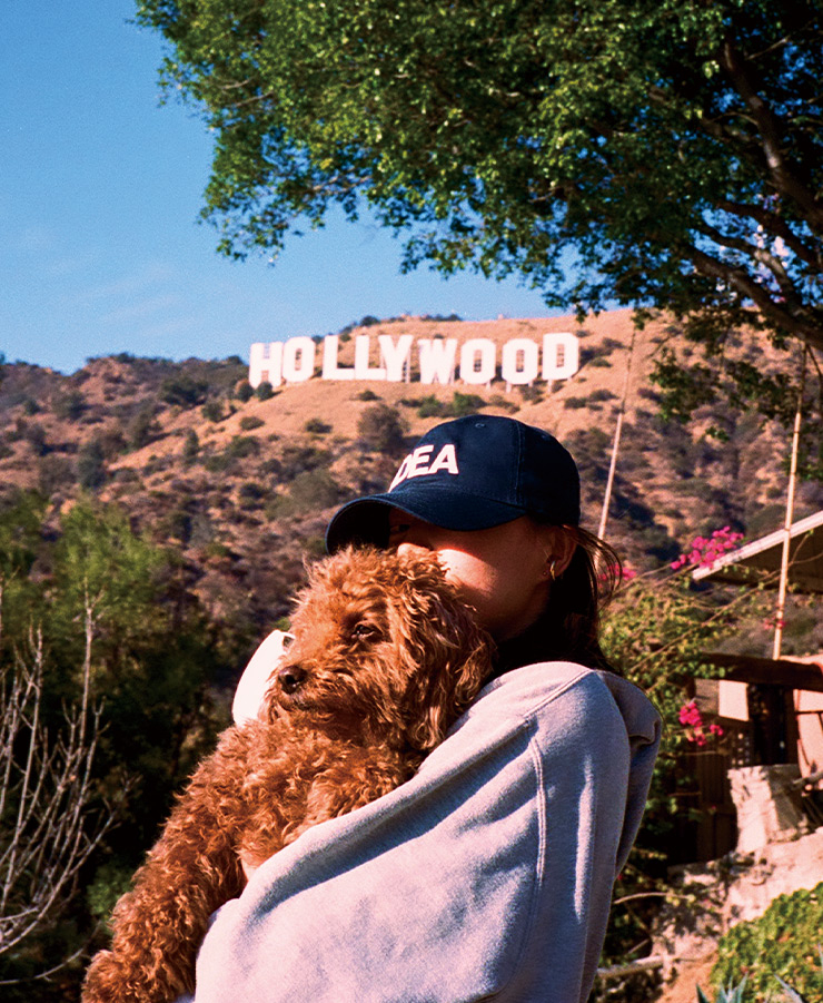 hollywood 사인 아래서 밤이와 함께. 