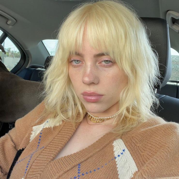 인스타그램 @billieeilish