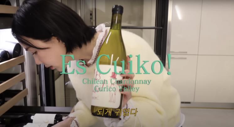 ‘Umaizing 엄정화TV’ 유튜브 영상 캡처